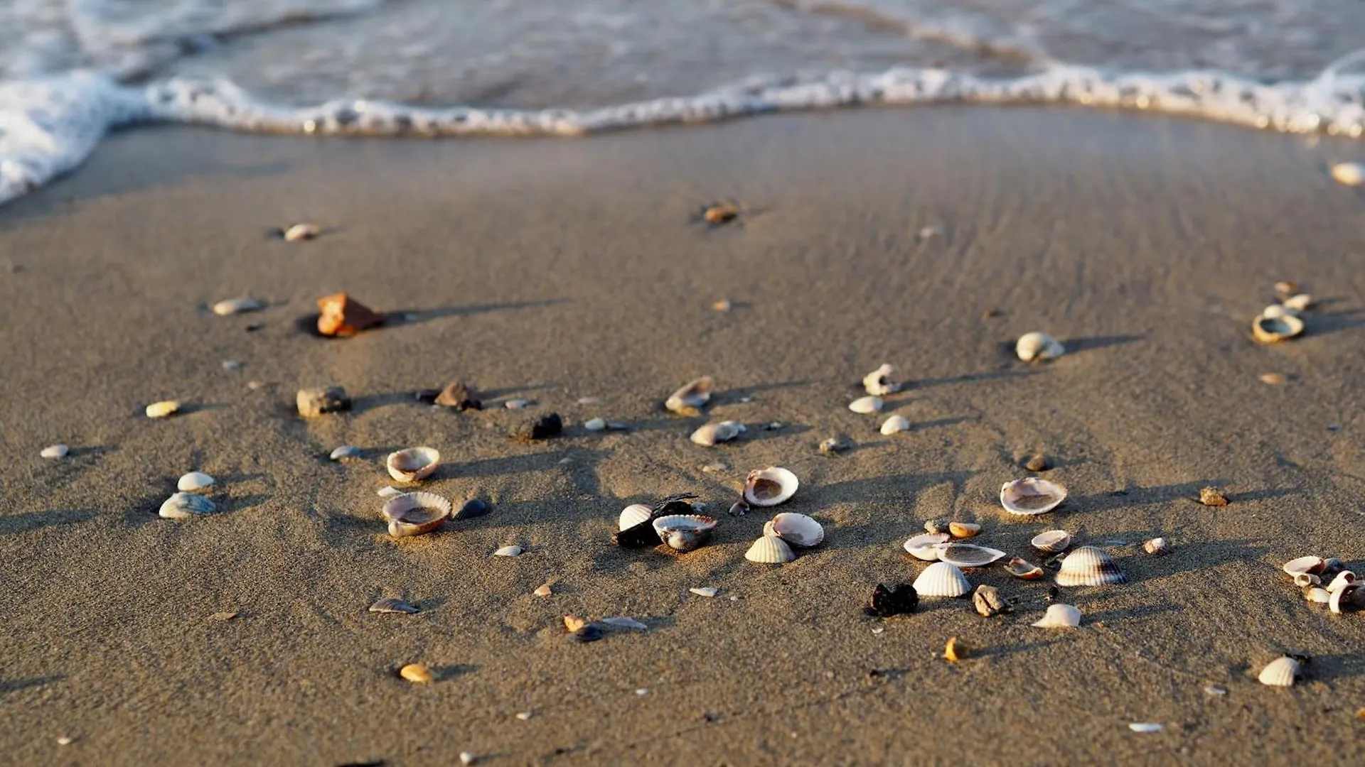 Welcoming Flat Next To The Sea For Up To 6 Guests Apartment Bibione