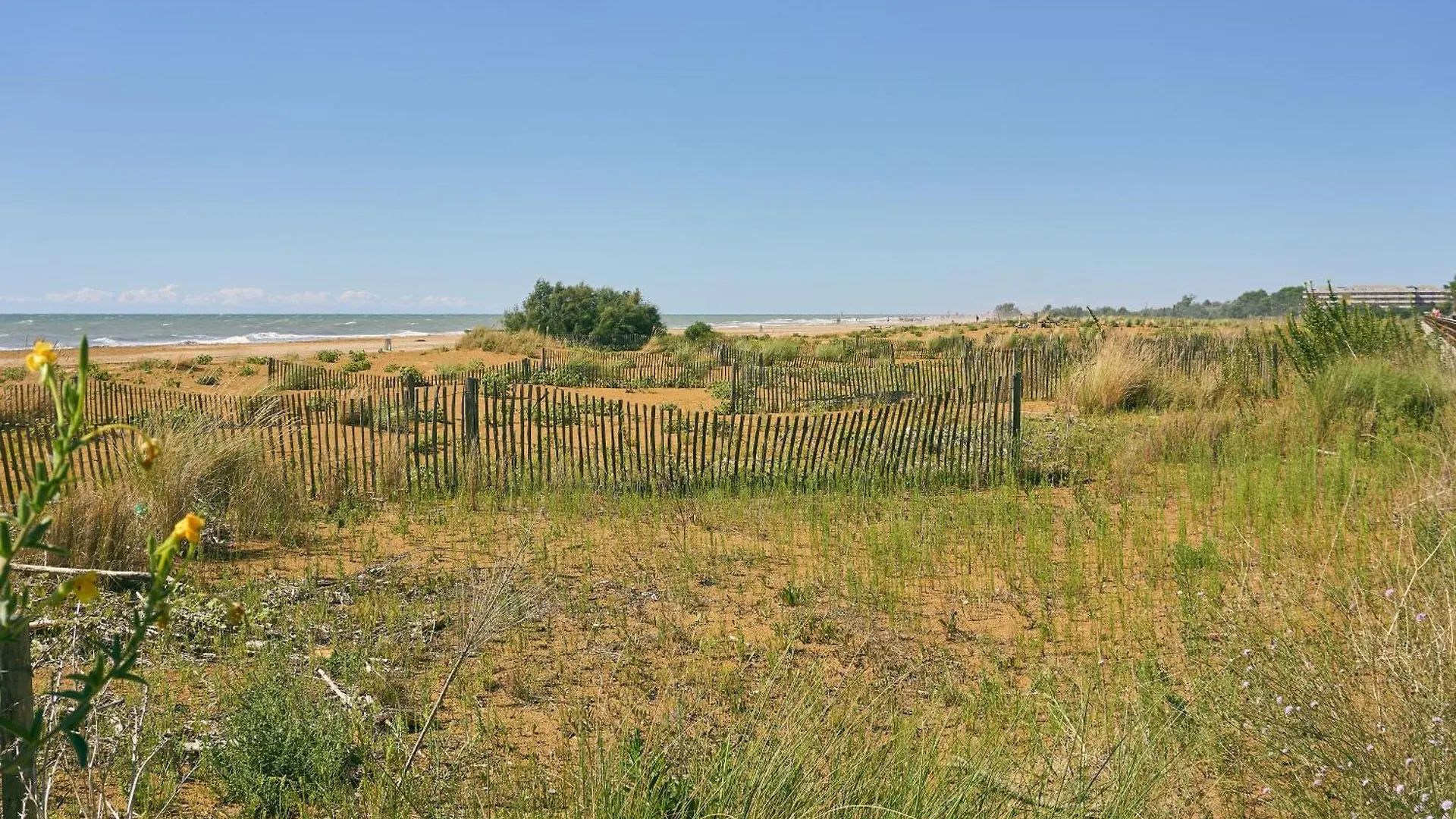 Welcoming Flat Next To The Sea For Up To 6 Guests Apartment Bibione